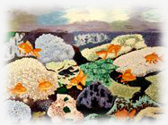 tableau feng shui sud est